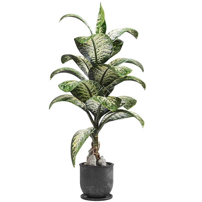 Tropic Dieffenbachia Tree 3D Model 3D model image 3