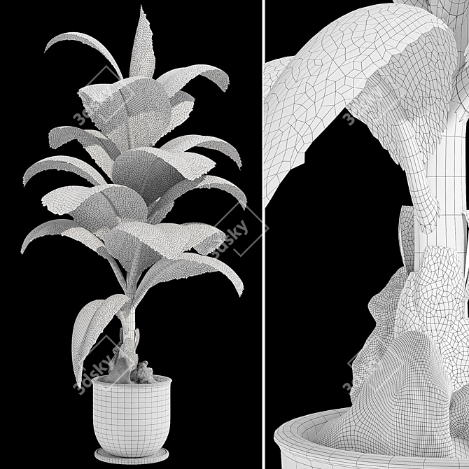 Tropic Dieffenbachia Tree 3D Model 3D model image 7