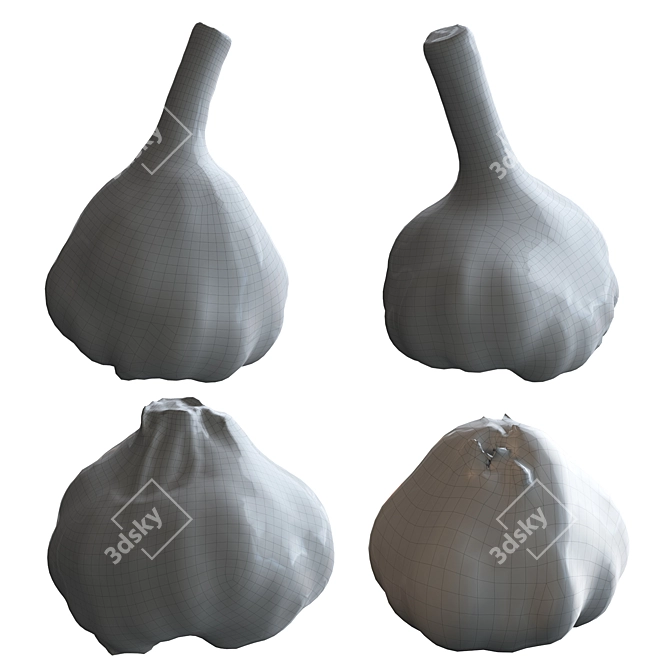 Garlic 3D Model for Render 3D model image 2