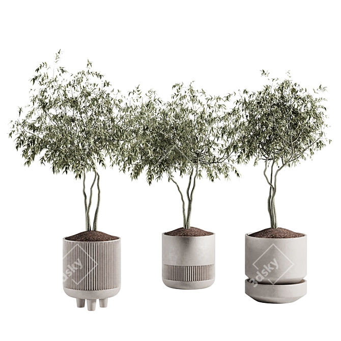 Modern Plant Collection Set 19 3D model image 1