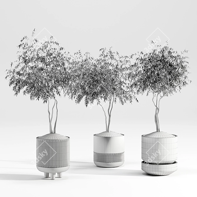 Modern Plant Collection Set 19 3D model image 8