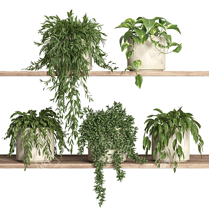 Botanical Oasis Shelf Display 3D model image 1