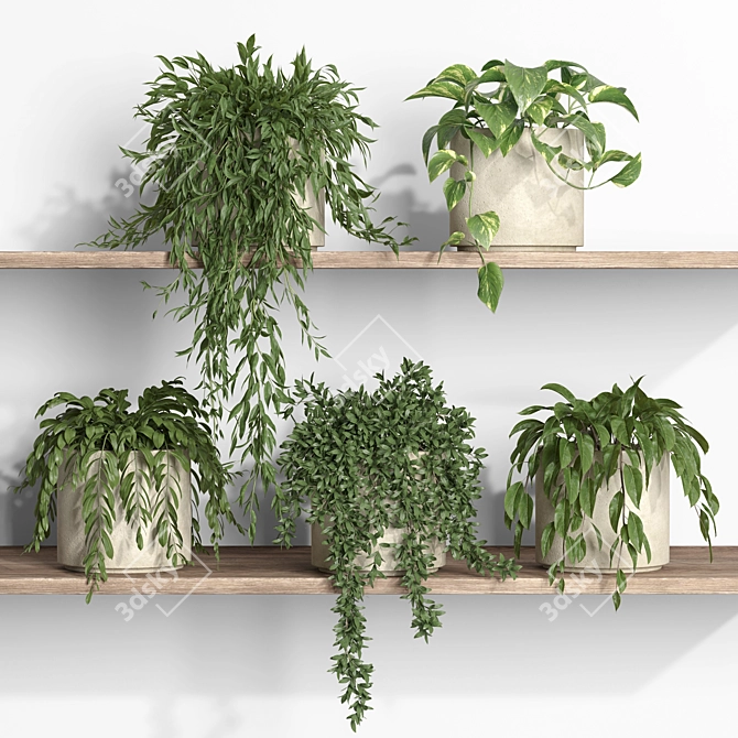 Botanical Oasis Shelf Display 3D model image 4