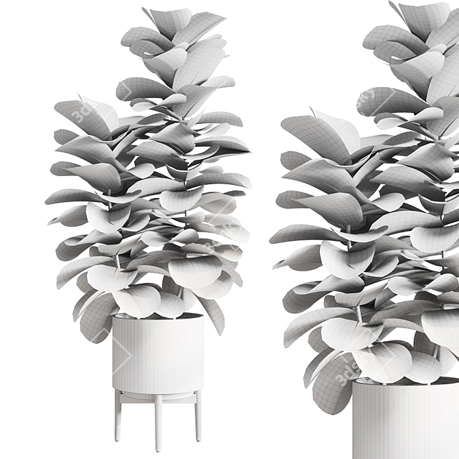 Modern Ficus Lyrata Plant Decor 3D model image 4