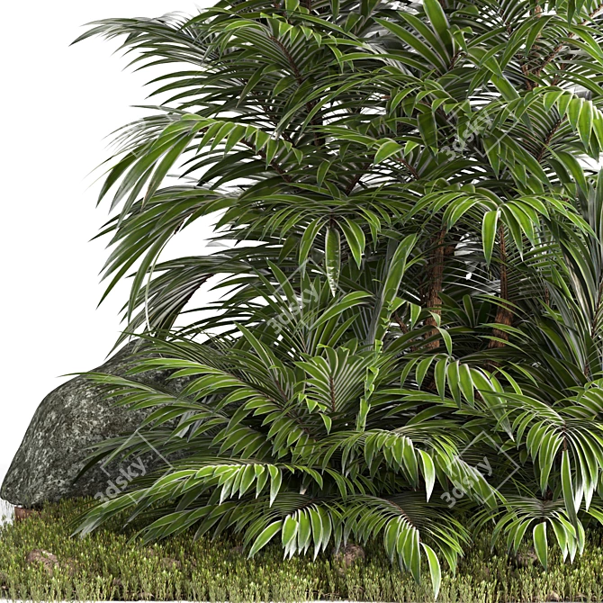 Tropical Palm Tree 3D Model 3D model image 2