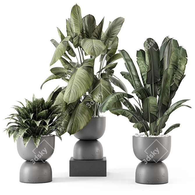  Indoor Plants in Rusty Concrete Pot Set 3D model image 1