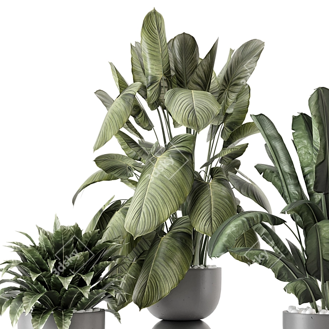  Indoor Plants in Rusty Concrete Pot Set 3D model image 2