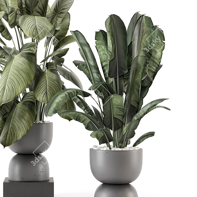  Indoor Plants in Rusty Concrete Pot Set 3D model image 3