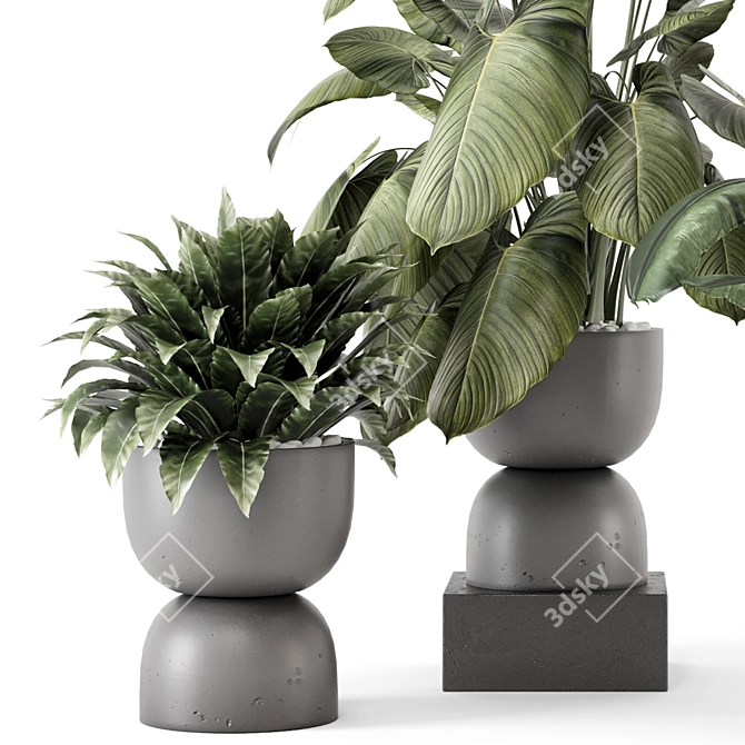  Indoor Plants in Rusty Concrete Pot Set 3D model image 4