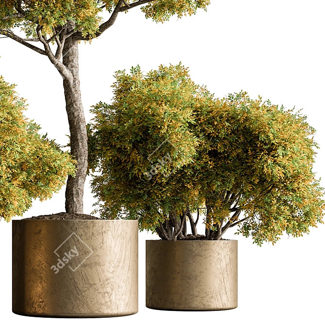 Botanical Bliss: Tree in Pot 3D model image 3