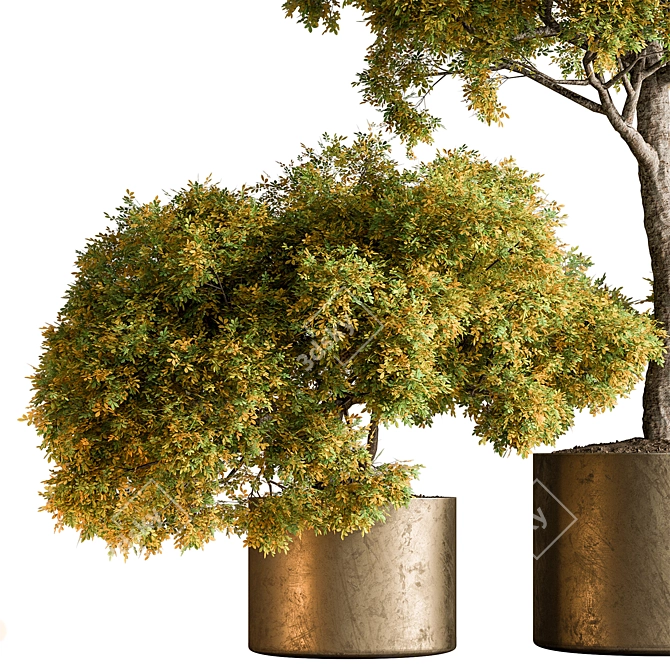 Botanical Bliss: Tree in Pot 3D model image 4