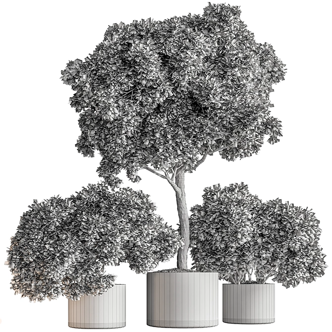 Botanical Bliss: Tree in Pot 3D model image 5