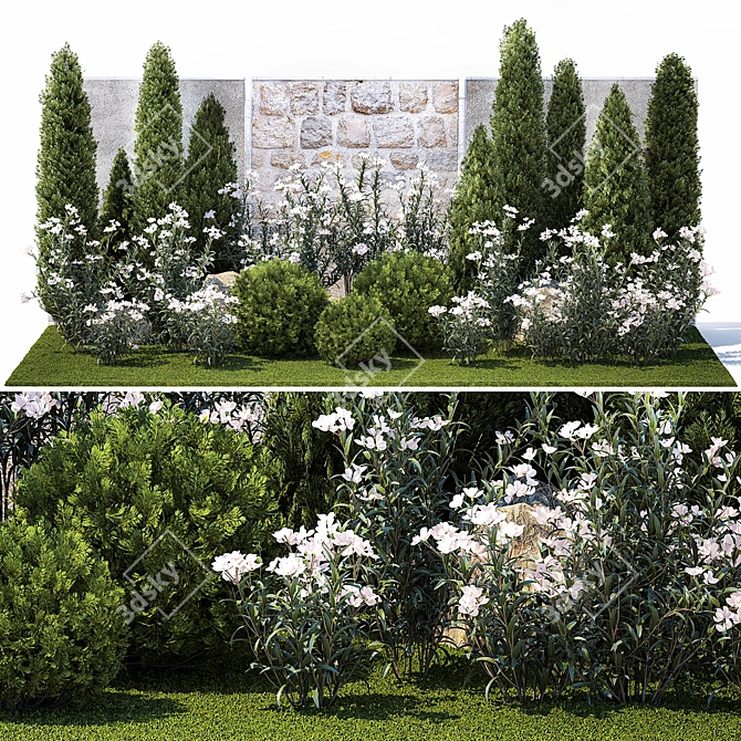 White Flowering Plants Collection 3D model image 1