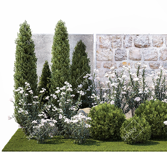 White Flowering Plants Collection 3D model image 2