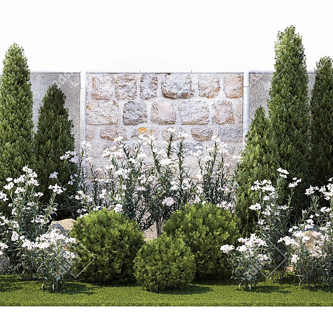 White Flowering Plants Collection 3D model image 3