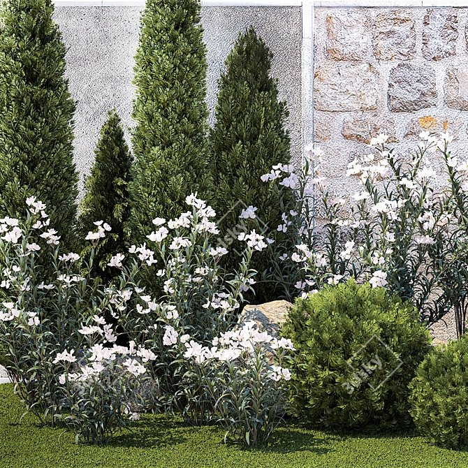 White Flowering Plants Collection 3D model image 4