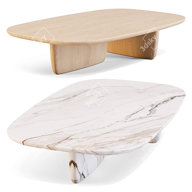 Zen-Inspired Tobi-Ishi Coffee Table 3D model image 1