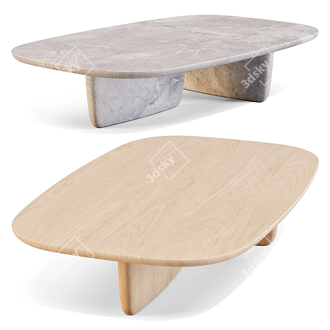 Zen-Inspired Tobi-Ishi Coffee Table 3D model image 2