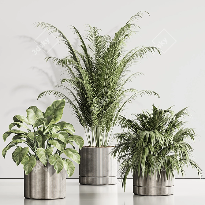 Modern Indoor Plant Set 119 3D model image 3