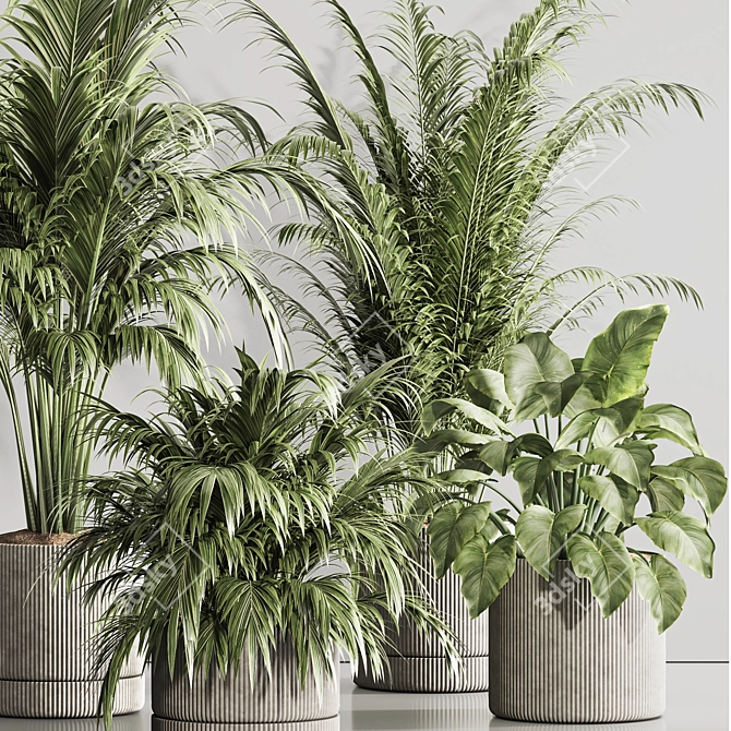 Modern Indoor Plant Set 119 3D model image 4