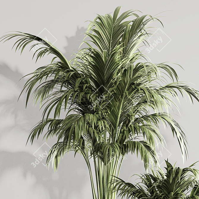 Modern Indoor Plant Set 119 3D model image 5