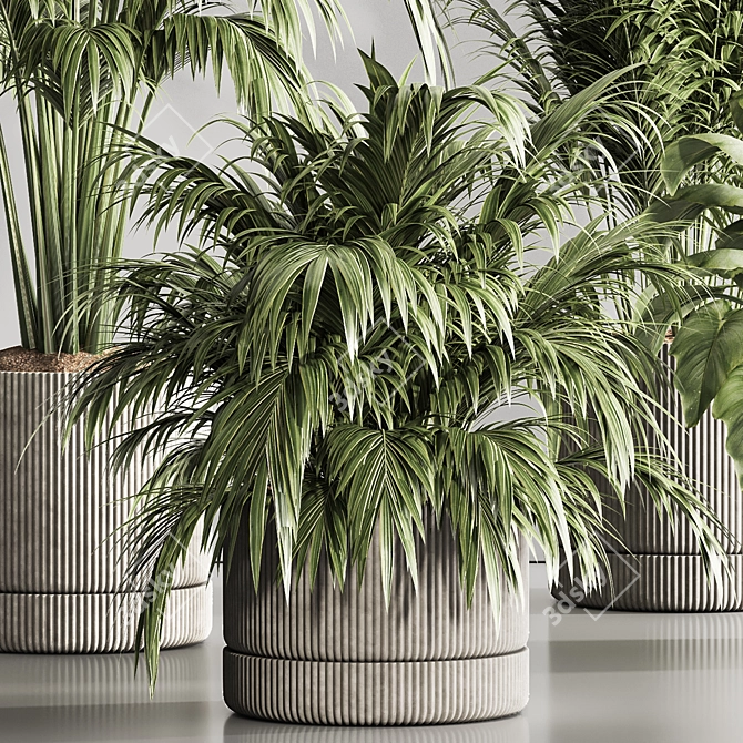 Modern Indoor Plant Set 119 3D model image 6