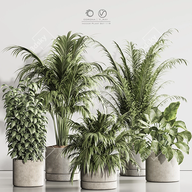 Modern Indoor Plant Set 119 3D model image 8