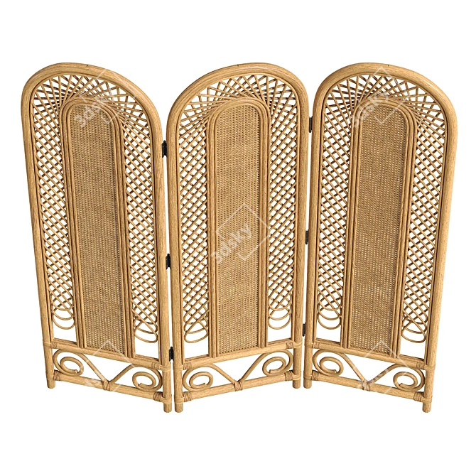 Vintage Cane Rattan Room Divider 3D model image 3