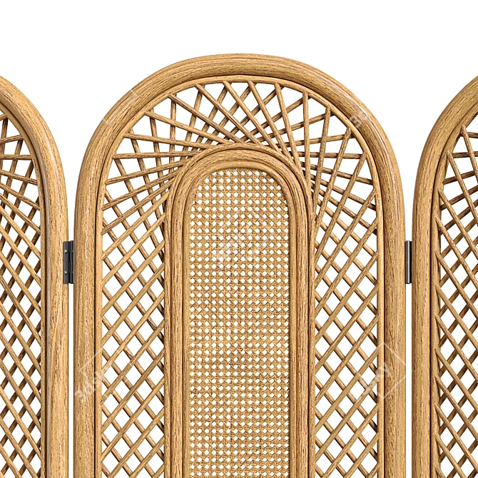 Vintage Cane Rattan Room Divider 3D model image 5