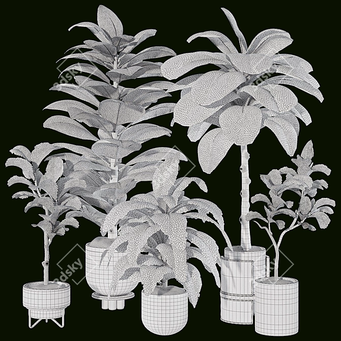 Tropic Tree Indoor Plant Collection 3D model image 7