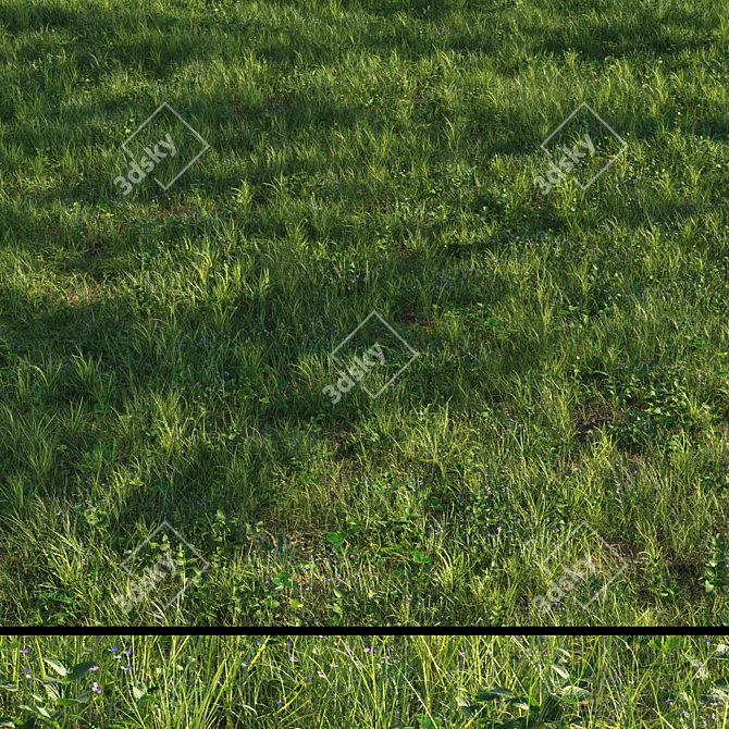 Grass Scatter Kit for Renders 3D model image 1