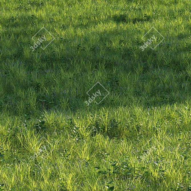 Grass Scatter Kit for Renders 3D model image 2