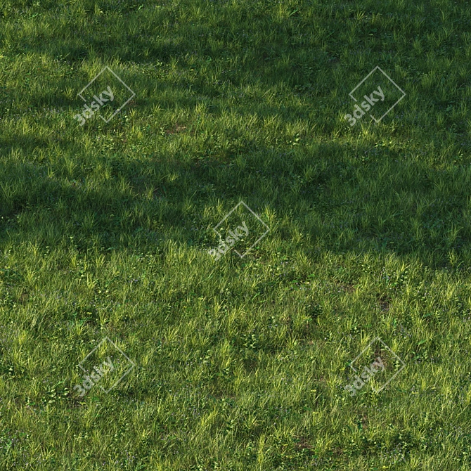 Grass Scatter Kit for Renders 3D model image 4