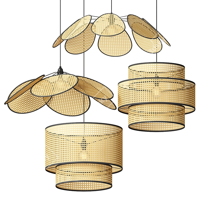 Handmade Rattan Pendant Lamps 3D model image 1