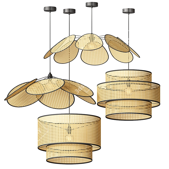 Handmade Rattan Pendant Lamps 3D model image 3