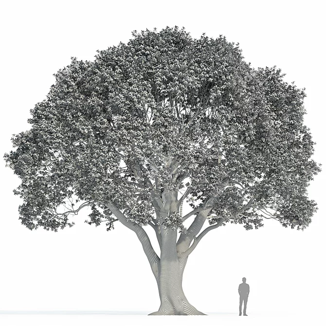 Stone Oak Tree Model 2014 3D model image 1