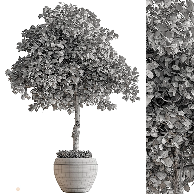 Outdoor Oak Tree Plant 567 3D model image 3