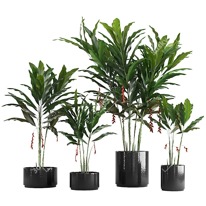 Tropical Potted Plants Set: Heliconia 3D model image 1