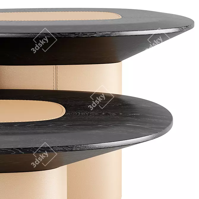 Disk Coffee Tables Set Trussardi 3D model image 2