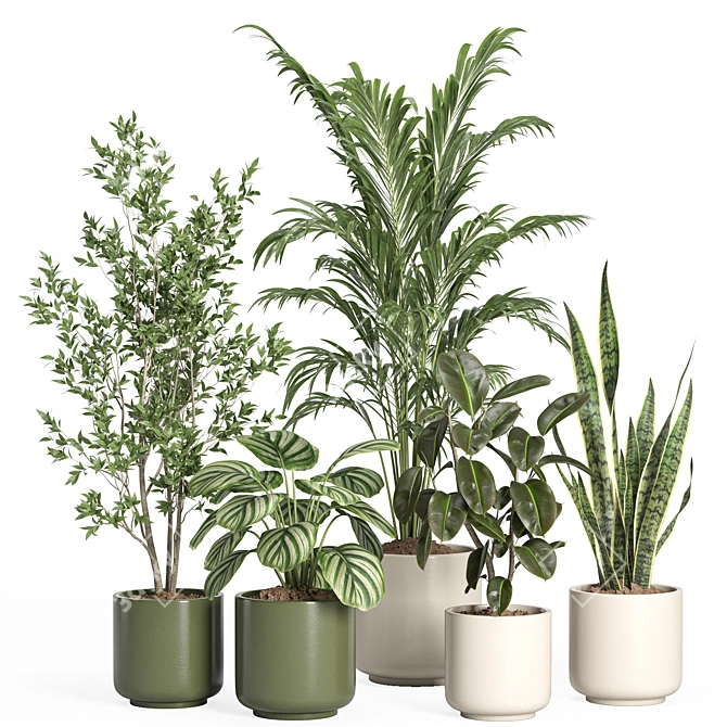 Modern Indoor Plant Set with Ceramic Pot 3D model image 1