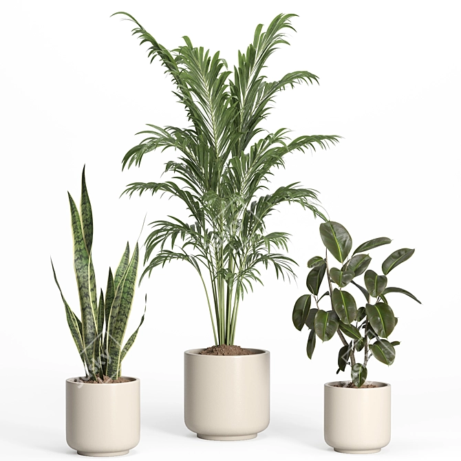 Modern Indoor Plant Set with Ceramic Pot 3D model image 2