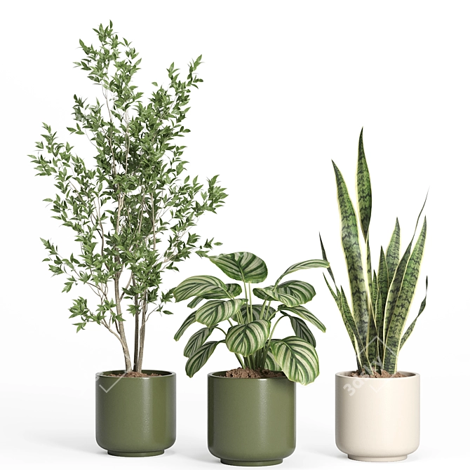 Modern Indoor Plant Set with Ceramic Pot 3D model image 3