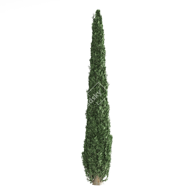 Pine Tree Set 3D Model 3D model image 6