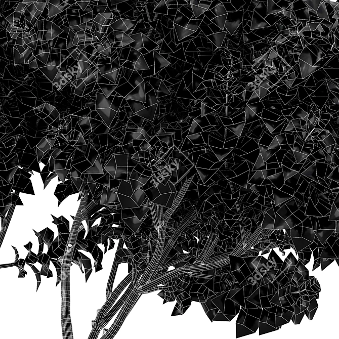 Botanical 3D Tree Models Pack 3D model image 7