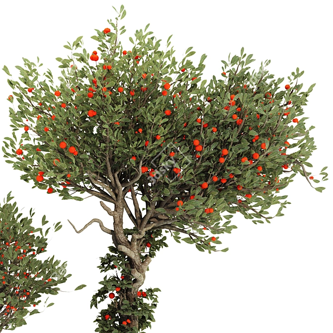 Compact Indoor Fruit Tree 218 3D model image 3