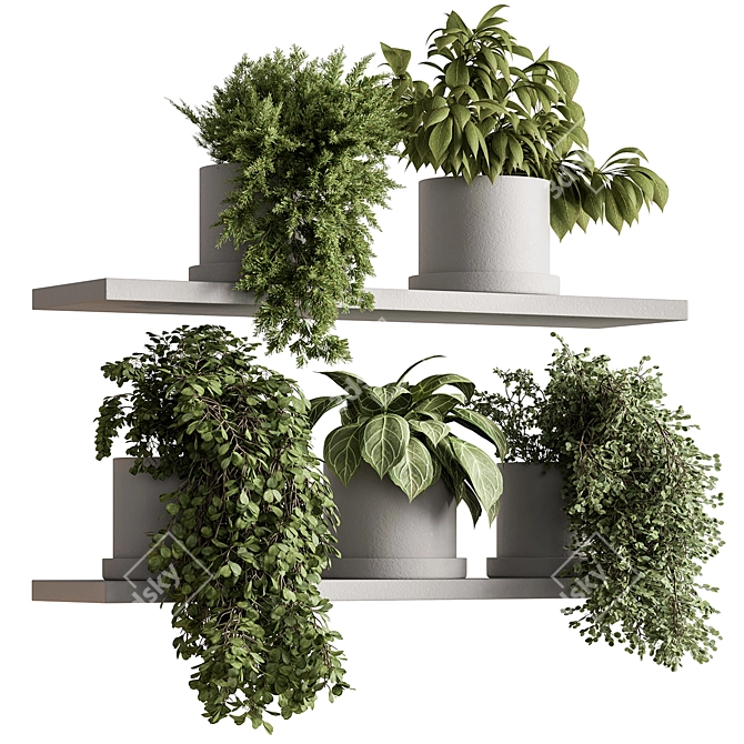 Hanging Indoor Plant 598 3D model image 1