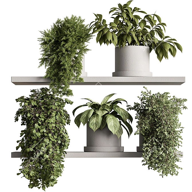 Hanging Indoor Plant 598 3D model image 2