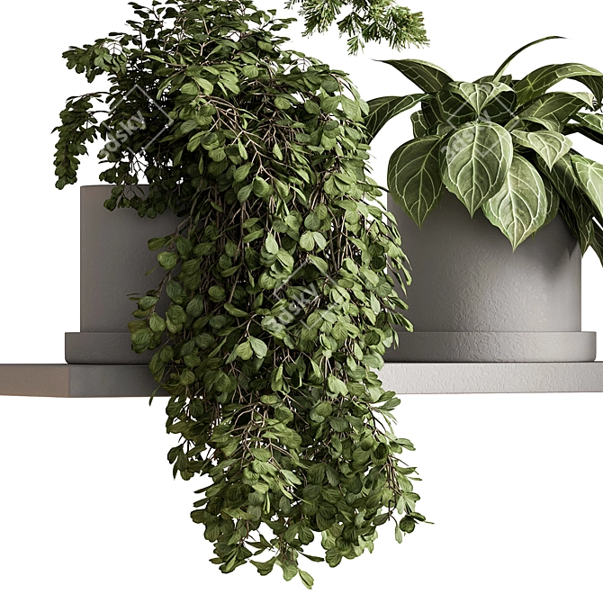 Hanging Indoor Plant 598 3D model image 4