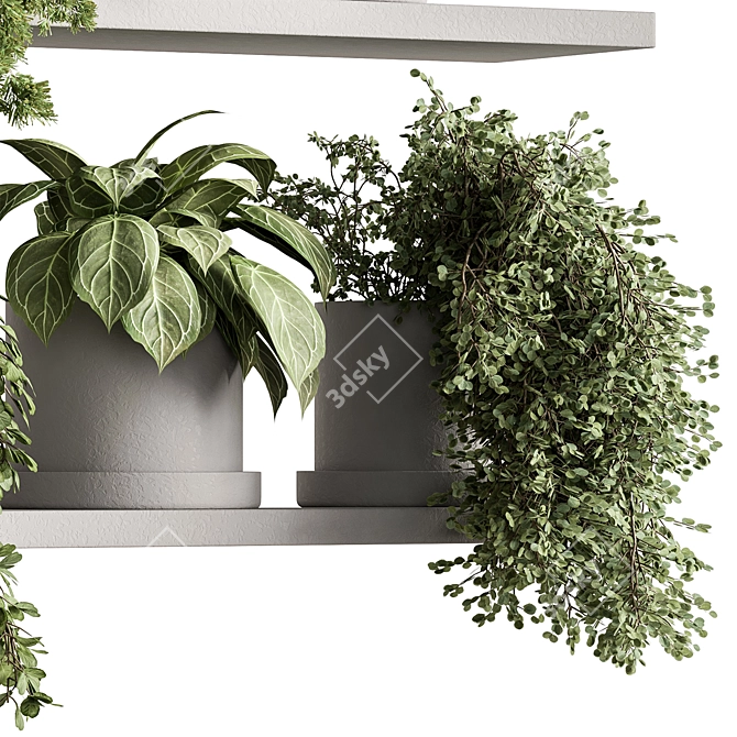 Hanging Indoor Plant 598 3D model image 5