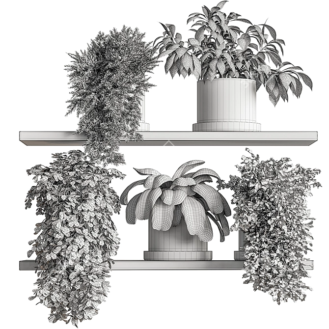 Hanging Indoor Plant 598 3D model image 6